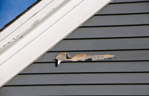 Best Furniture Removal  in Cricket, NC